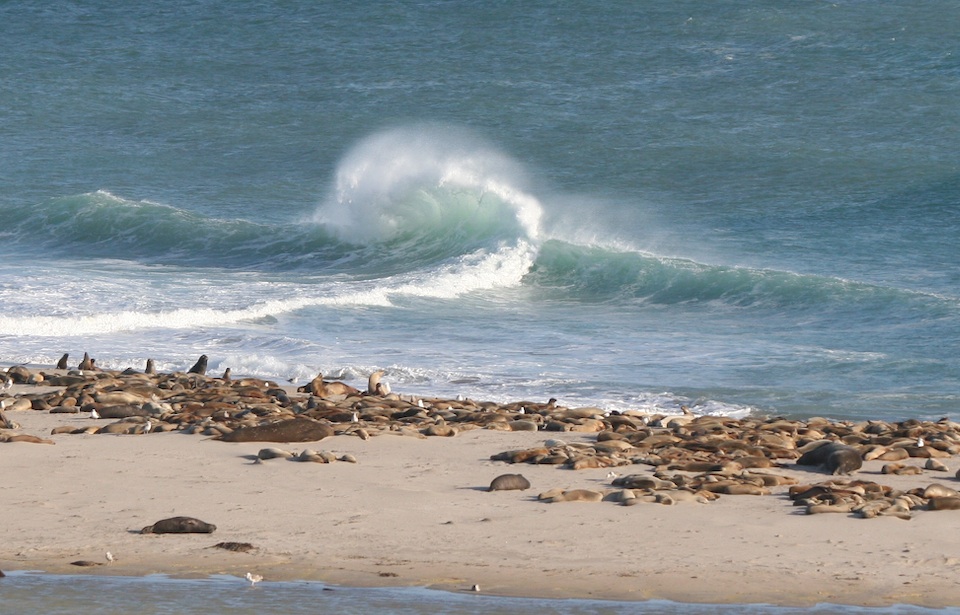 Wave at San Nicolas Island Sandspit