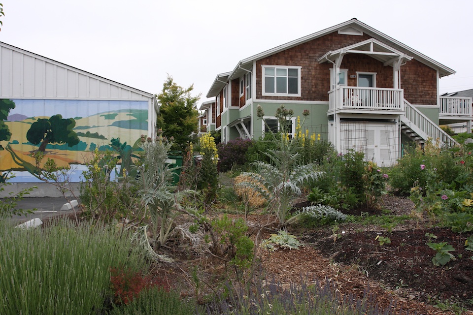 Frog Song Co-housing garden and housing